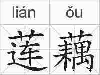 莲藕的拼音