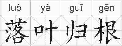 落叶归根的拼音