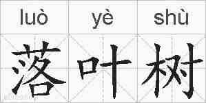 落叶树的拼音