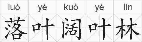 落叶阔叶林的拼音