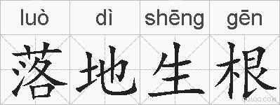落地生根的拼音