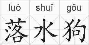 落水狗的拼音