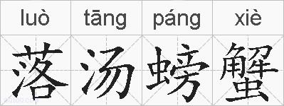 落汤螃蟹的拼音
