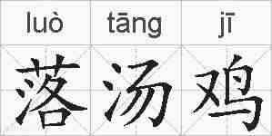 落汤鸡的拼音