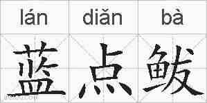 蓝点鲅的拼音