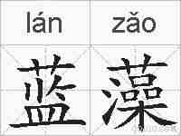 蓝藻的拼音