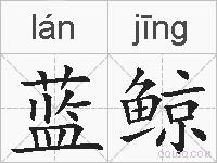 蓝鲸的拼音
