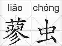 蓼虫的拼音