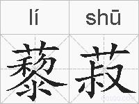 藜菽的拼音