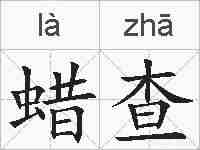 蜡查的拼音