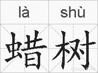 蜡树的拼音