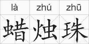蜡烛珠的拼音