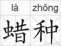 蜡种的拼音