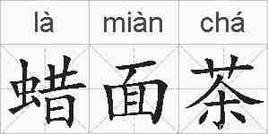 蜡面茶的拼音