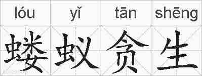 蝼蚁贪生的拼音