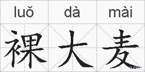 裸大麦的拼音
