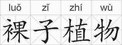 裸子植物的拼音