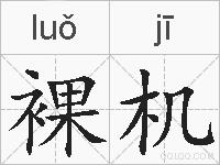 裸机的拼音