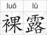 裸露的拼音