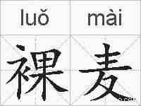 裸麦的拼音