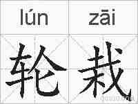 轮栽的拼音