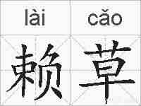 赖草的拼音