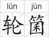 轮箘的拼音
