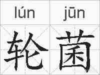 轮菌的拼音