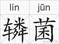 辚菌的拼音