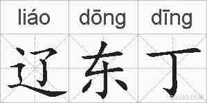 辽东丁的拼音