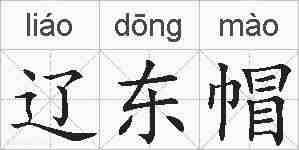 辽东帽的拼音