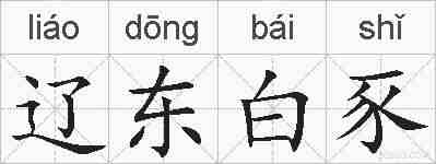 辽东白豕的拼音