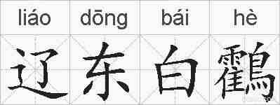 辽东白鸖的拼音