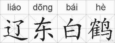 辽东白鹤的拼音