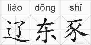 辽东豕的拼音