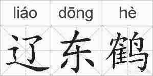 辽东鹤的拼音