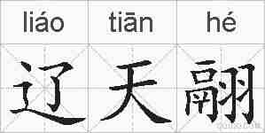 辽天翮的拼音