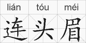 连头眉的拼音