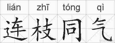 连枝同气的拼音