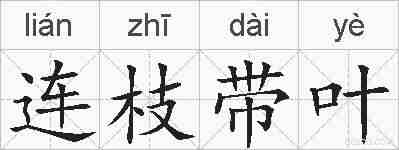 连枝带叶的拼音