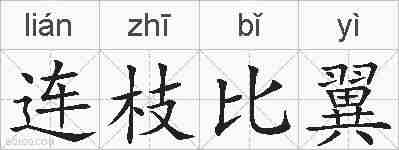 连枝比翼的拼音