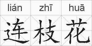 连枝花的拼音