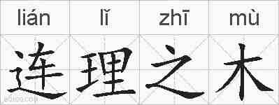 连理之木的拼音