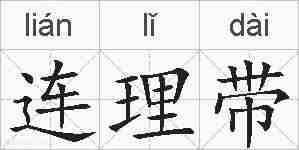 连理带的拼音