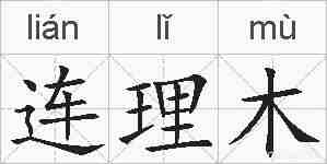 连理木的拼音