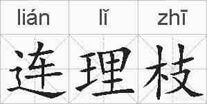 连理枝的拼音