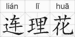 连理花的拼音