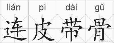 连皮带骨的拼音