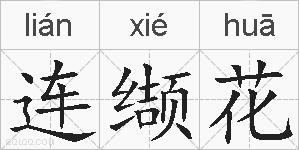 连缬花的拼音