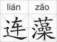 连藻的拼音